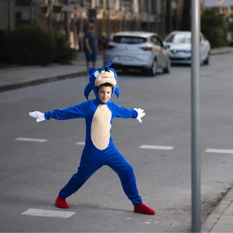 Sonic the Hedgehog Costume Handmade