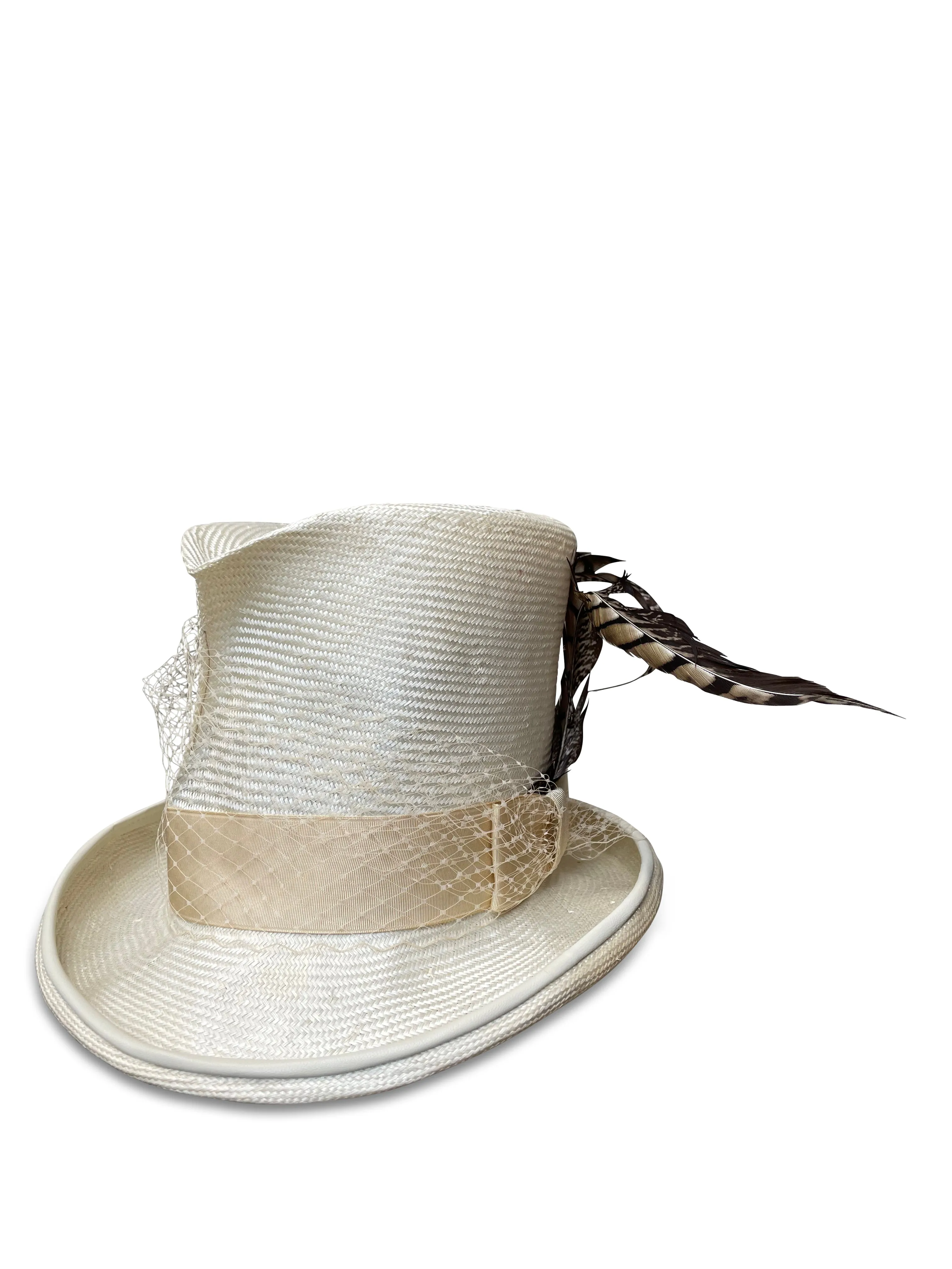 White Wing Dove - Madhatter